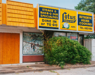 For Lotus (Family Style, No. 1), Summer Avenue, Memphis