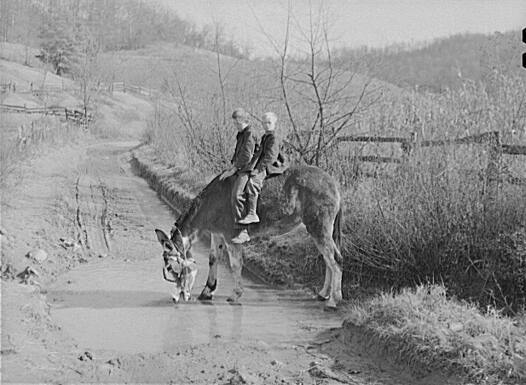 Two of Dutton ("Dut") Calleb's Children Watering the Mule, Southern Appalachian Project Near Barbourville, Knox County, Kentucky