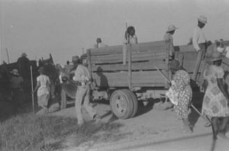 Day Laborers, Hopson Plantation near Clarksdale, Mississippi
