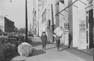 Cotton Samples Being Carried to Sampling and Classing Rooms in Broker's Office on Cotton Row, Front Street, Memphis, Tennessee