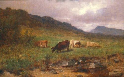 Upland Pasture