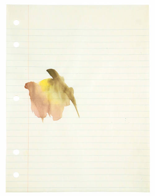 © Richard Tuttle