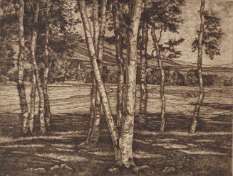 The Edge of the Birches