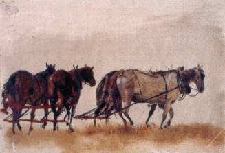 Four-Horse Hitch, Study for Dakota