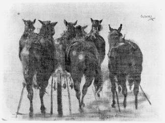 Horse Studies (rear view) for Dakota