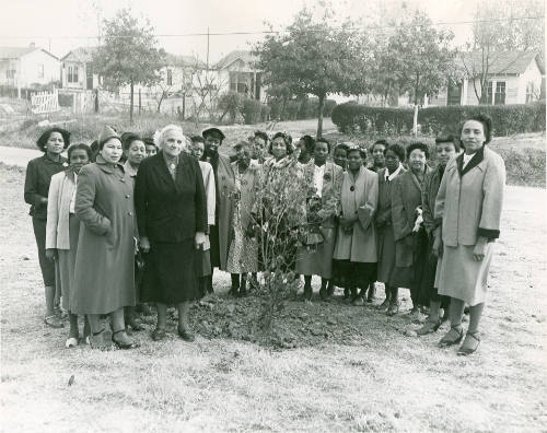 [Dunn Avenue School Arbor Day Service]