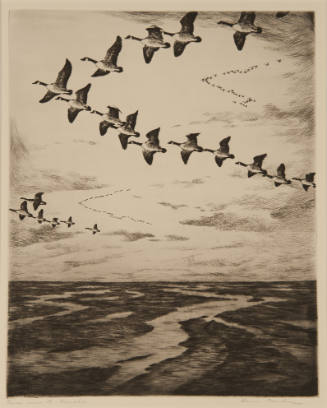 Geese Over the Marshes