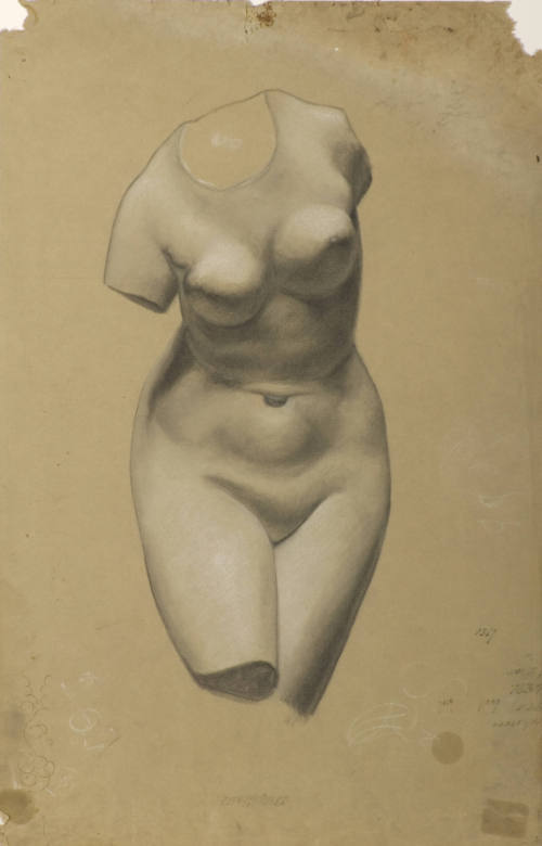 Study of Female Torso from Plaster Cast