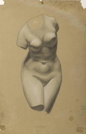 Study of Female Torso from Plaster Cast