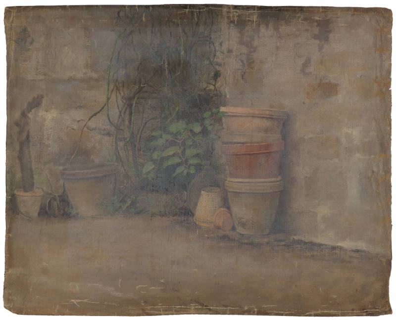 Claypots with Vines and Cactus Plants, Study for Cactus