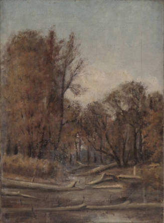 Swamp with Fallen Tree Limbs (verso pencil sketch of man and boat