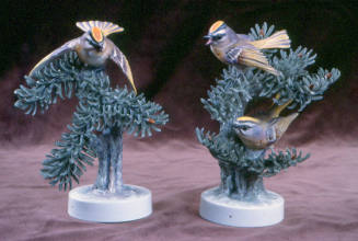 Pair of Golden Crowned Kinglets and Noble Pine