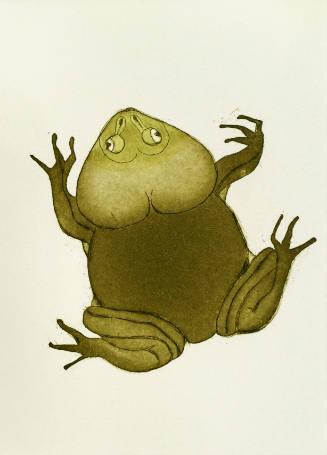Bruget's Frog