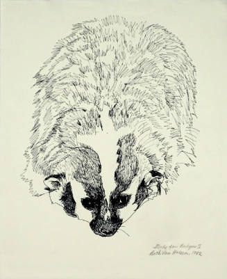 Study for "Badger II"