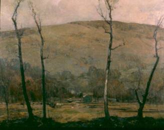 Hills of North Branch