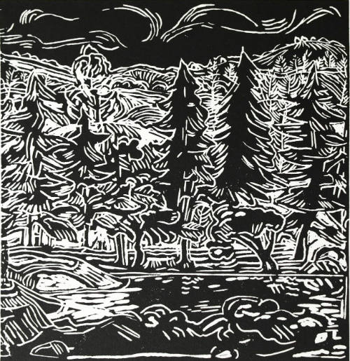David Clyde Driskell