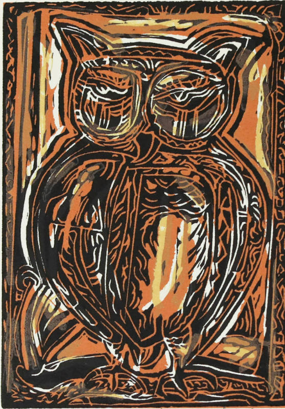 Owl