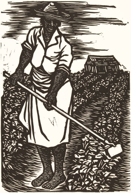 In the fields...