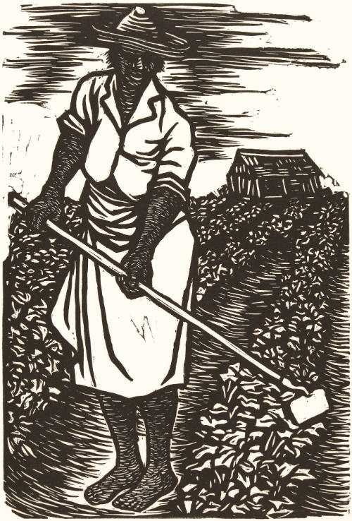 In the fields...