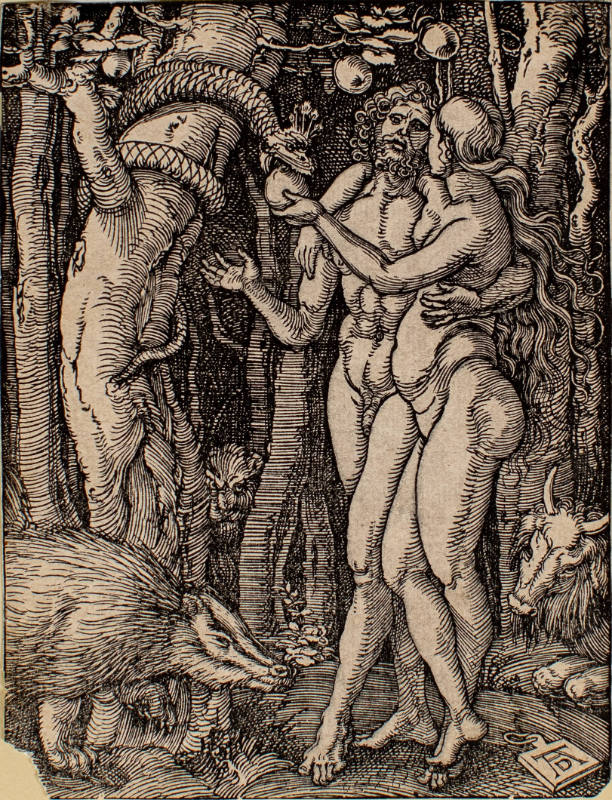 Fall of Man