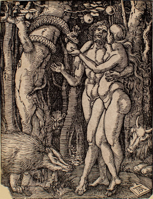 Fall of Man
