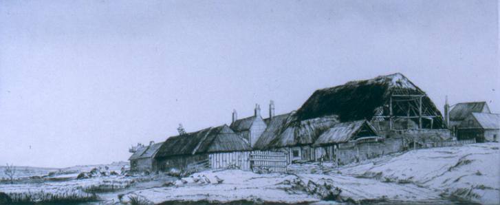 Romney Farm
