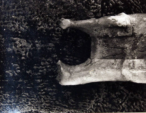 Terracotta 13, Illinois