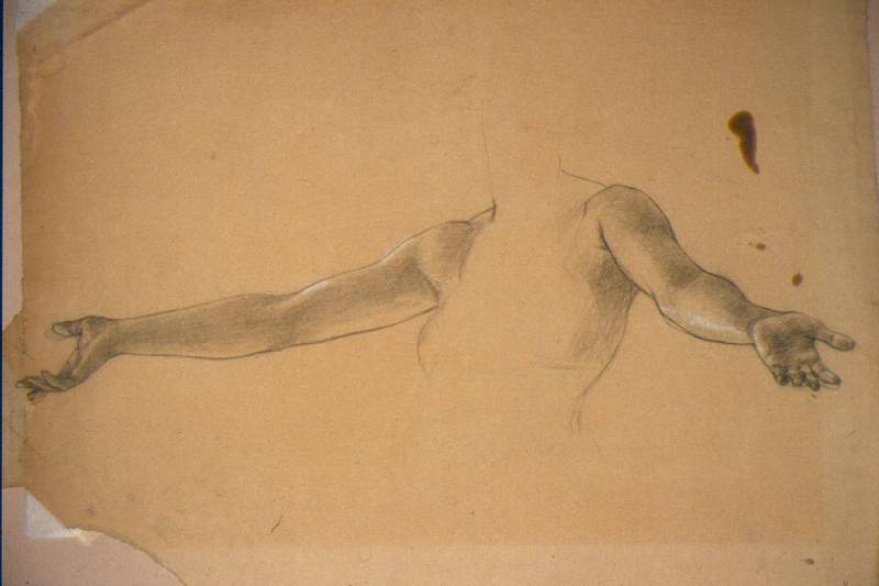 Female Arm Study for "Light of the Incarnation"