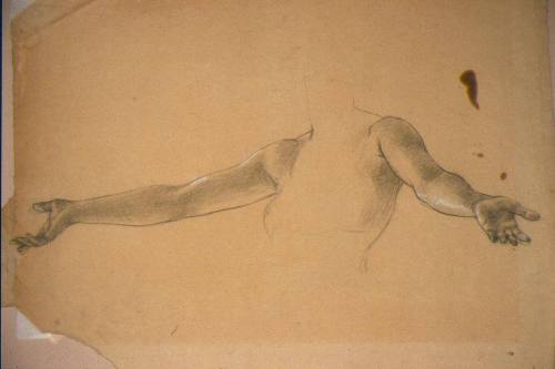 Female Arm Study for "Light of the Incarnation"