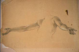 Female Arm Study for "Light of the Incarnation"