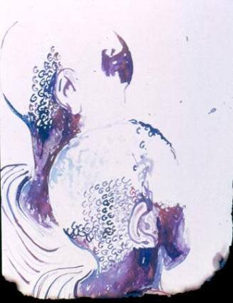 Boy's Head