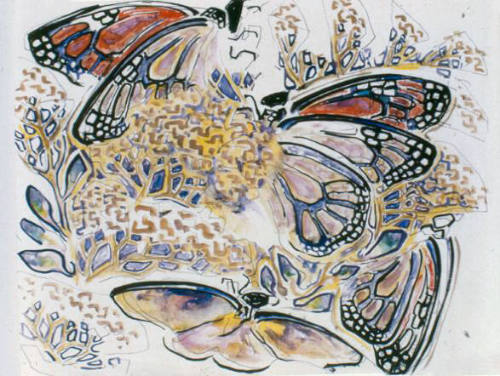 Butterflies