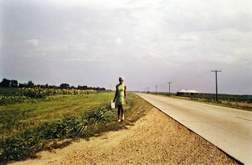 Untitled [Near Minter City and Glendora, Mississippi]