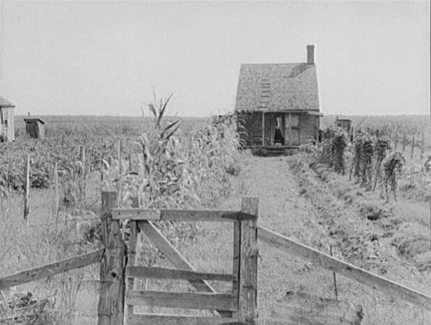 Cabin in Sugarcane Country, Bayou la Fourche, Louisiana