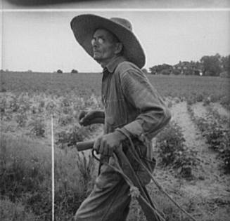 South Carolina Sharecropper