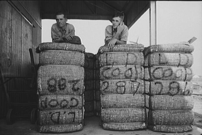 Members of Lake Dick Cooperative Resting on Bales of Cotton, Lake Dick Project, Arkansas