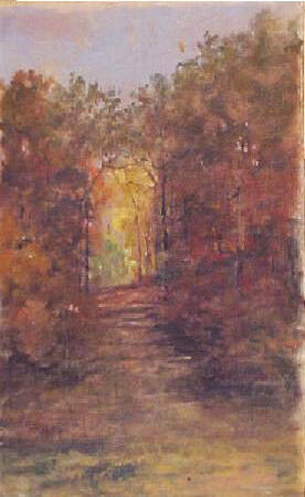 Autumn Trees Along Road to Rock Creek, Rockville, Maryland