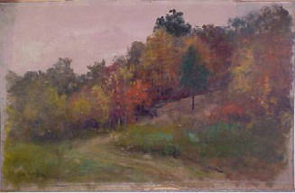 Roadway in the Autumn Woods, Rockville, Maryland