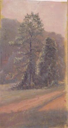 Trees Along Road to "Oak Rued", Springtime, Maryland