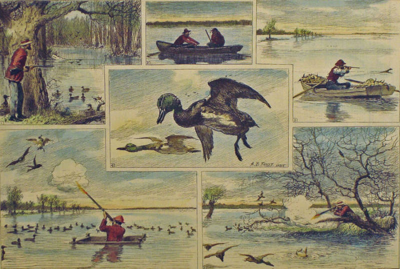 Spring Duck Shooting the West