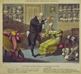An Old Maid's Skull Phrenologised