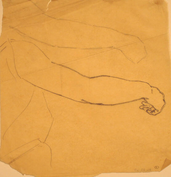 Female Arm and Hand Study for "Light of the Incarnation"