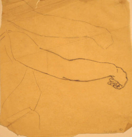 Female Arm and Hand Study for "Light of the Incarnation"