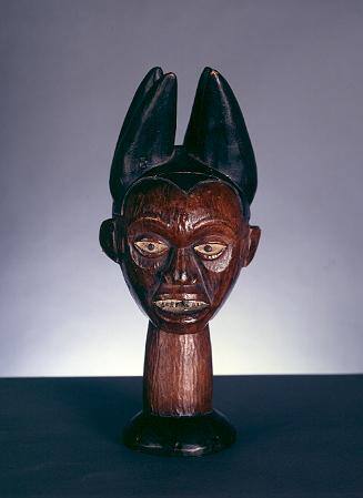 Head