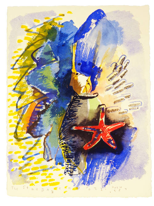 The Stargazer