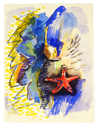 The Stargazer