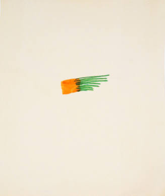 Hawaiian Carrot
