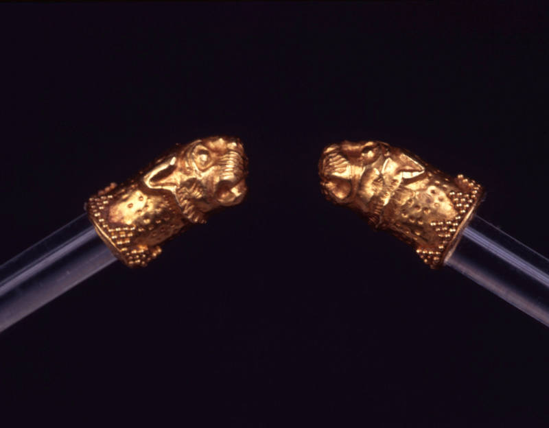 Lion Head Terminals