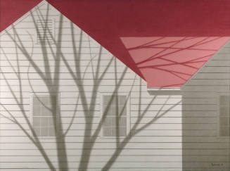 House in Winter Sun