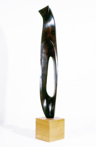 Abstraction in Ebony